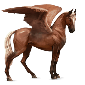 ridepegasus marwari linfarget fuks