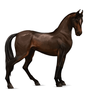 ridehest fullblodshest epleskimmel