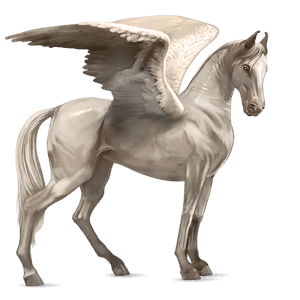 ridepegasus tinker tobiano svart flekket