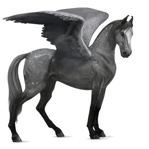 ridepegasus fullblodshest brun