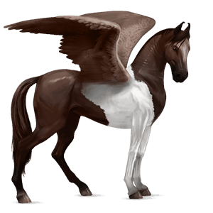 ridepegasus marwari leverfuks tobiano