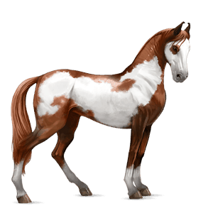ridehest mustang lys grå
