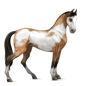 ridehest epleskimmel