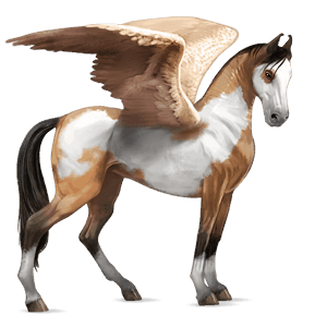 ridepegasus fullblodshest brun