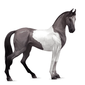 ridehest hanoveraner fuks