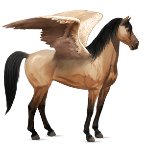 ridepegasus mustang brun
