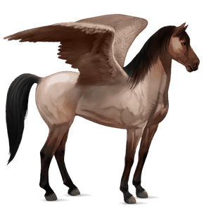 ridepegasus mustang skimlet