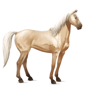 ridehest mustang svart