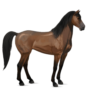 ridehest mustang svart fuks