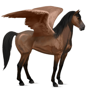 arbeidspegasus ban'ei-hest brun