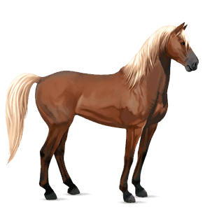 ridehest mustang lys grå