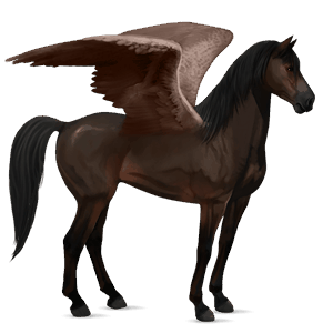 ridepegasus mustang svart fuks