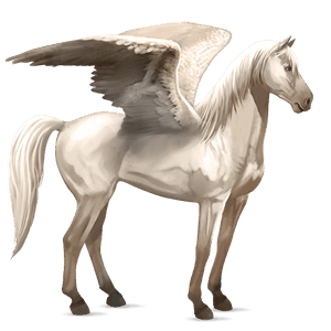ridepegasus musegrå