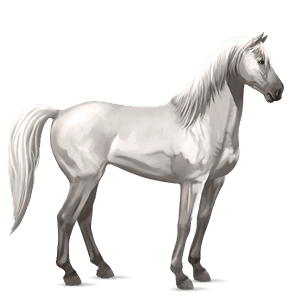 ridehest quarter horse epleskimmel