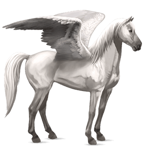 ridepegasus mustang lys grå