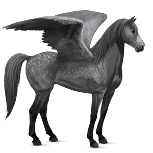 ridepegasus quarter horse svart fuks