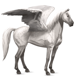 ridepegasus fuks