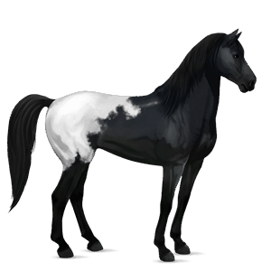 ridehest mustang brun