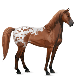 ridehest mustang svart fuks