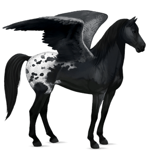 ridepegasus skimlet