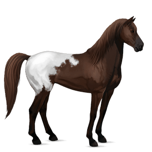 ridehest mustang svart fuks