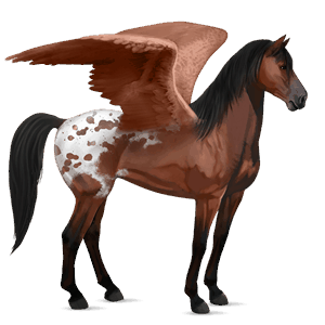 ridepegasus mustang rødbrun med flekkete teppe