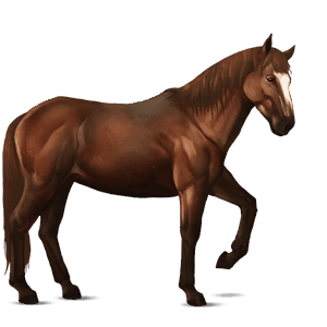 ridehest quarter horse linfarget fuks
