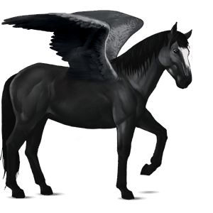 ridepegasus nokotahest mørkebrun overo