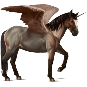bevinget ride-enhjørning quarter horse skimlet