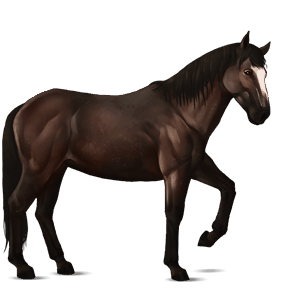 ridehest leverfuks
