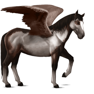 ridepegasus nokotahest mørkebrun overo