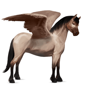 pegasus-ponni highlandponni skimlet