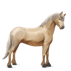 ponni kerry bog-ponni tobiano svart flekket