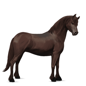 ponni fjording brunblakk