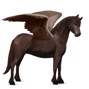 ridepegasus holsteiner leverfuks