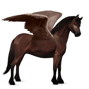 ridepegasus misakiponni svart fuks