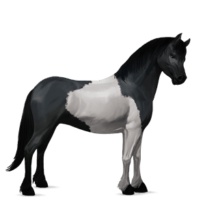 ponni fjording brunblakk