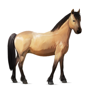 ponni haflinger linfarget fuks