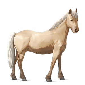 ponni haflinger linfarget fuks