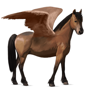 ridepegasus nokotahest brun