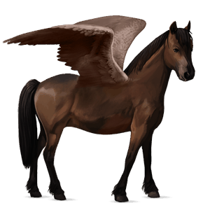 pegasus-ponni kerry bog-ponni svart fuks