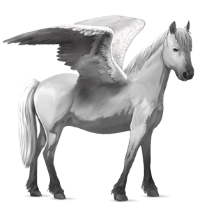 ridepegasus polsk konik lys grå