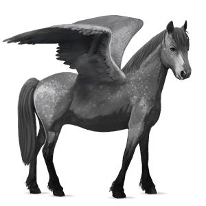 pegasus-ponni kerry bog-ponni epleskimmel