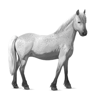 ponni epleskimmel tobiano