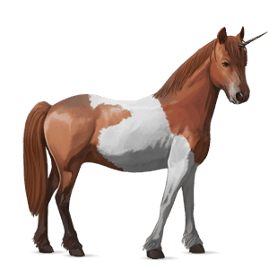 enhjørningsponni kerry bog-ponni palomino