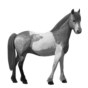 ponni haflinger linfarget fuks