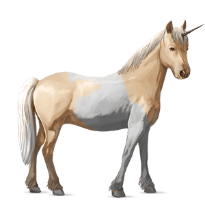 enhjørningsponni kerry bog-ponni palomino tobiano