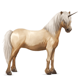 enhjørningsponni kerry bog-ponni palomino