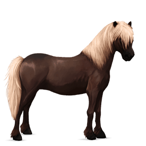 ponni palomino