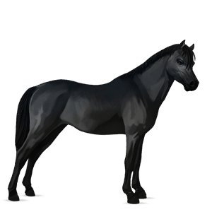 ponni fjording brunblakk